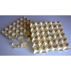 Bertie's Quickstart Wax Firelighters (1 tray / 30 pieces)
