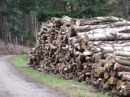 Timber Stack